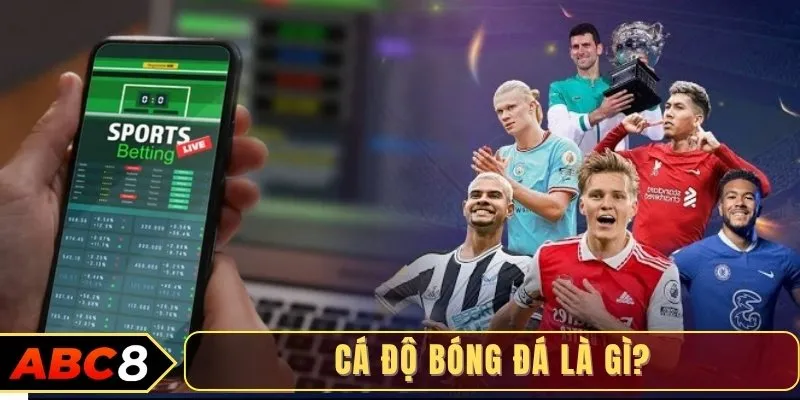 Cá độ bóng đá là gì?