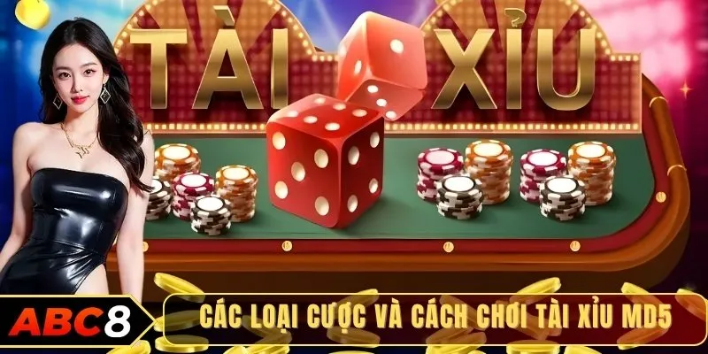 Các loại cược và cách chơi tài xỉu MD5