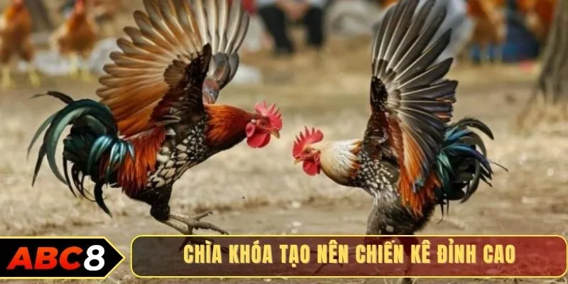 Chìa khóa tạo nên chiến kê đỉnh cao