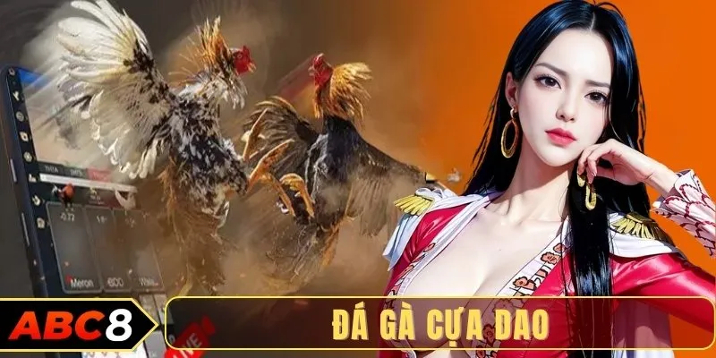Chiến thuật lên cựa trong đá gà cựa dao