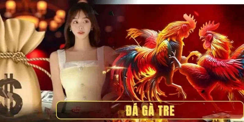 Đá gà tre