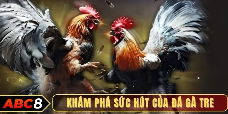 Khám phá sức hút của đá gà tre