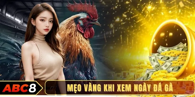 Mẹo vàng khi xem ngày đá gà