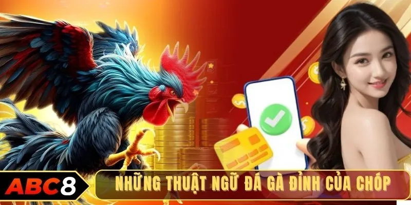 Những thuật ngữ đá gà đỉnh của chóp