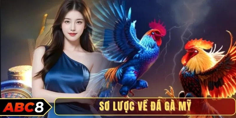 Sơ lược về đá gà Mỹ