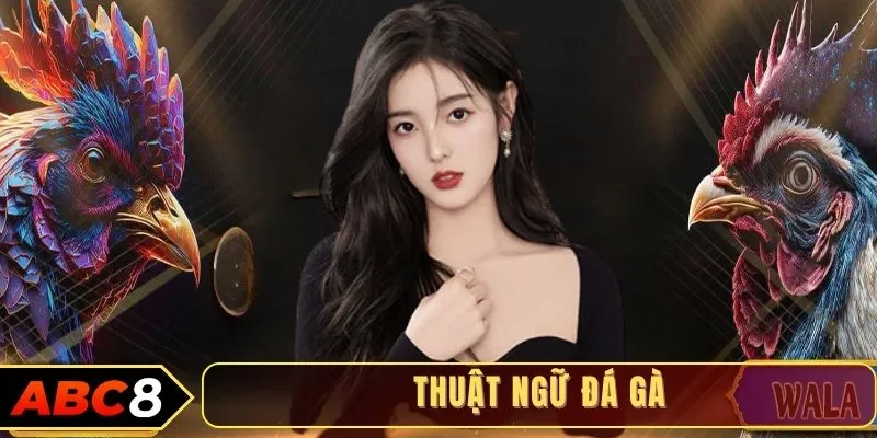Thuật ngữ đá gà
